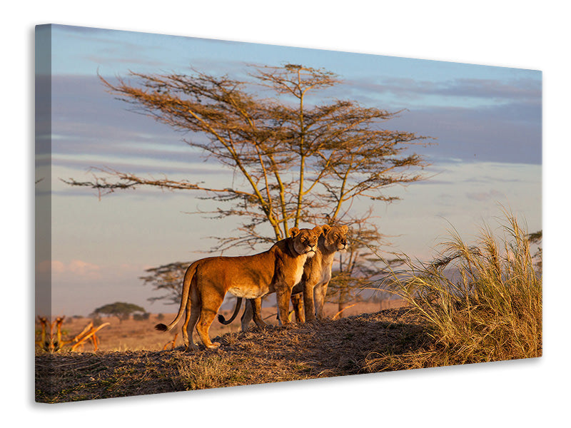 3-piece-canvas-print-sisters