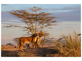 4-piece-canvas-print-sisters