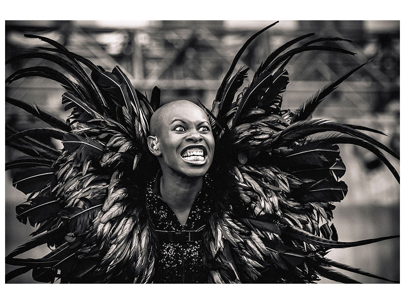 4-piece-canvas-print-skunk-anansie