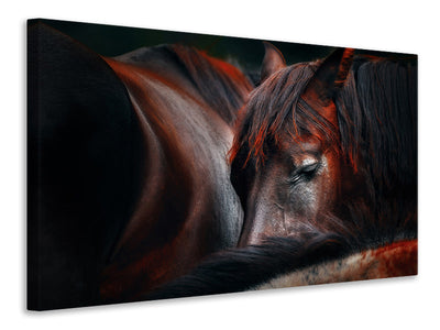 3-piece-canvas-print-sleep-huddle