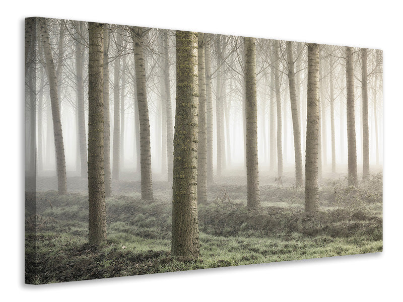 5-piece-canvas-print-small-woodland