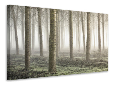 3-piece-canvas-print-small-woodland