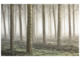 modern-3-piece-canvas-print-small-woodland