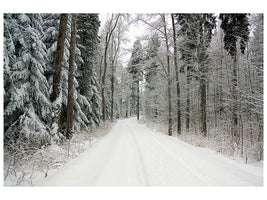 3-piece-canvas-print-snow-in-the-forest