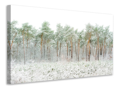 modern-3-piece-canvas-print-snow-world