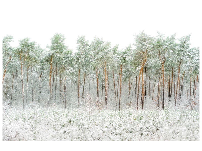 3-piece-canvas-print-snow-world