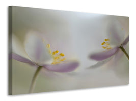 panoramic-3-piece-canvas-print-soft-whispering