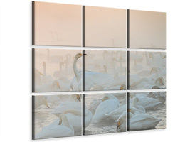 4-piece-canvas-print-song-of-the-morning-light