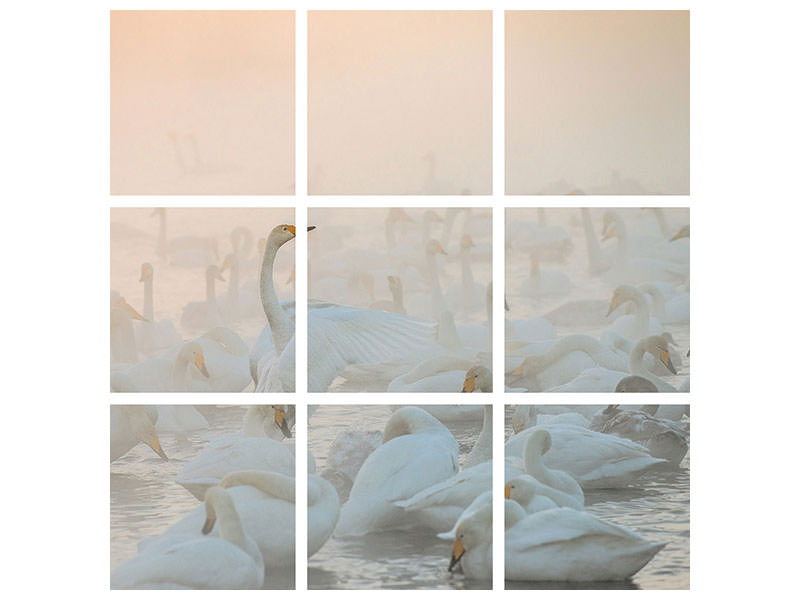 4-piece-canvas-print-song-of-the-morning-light