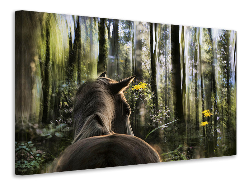 4-piece-canvas-print-sound-are-forest