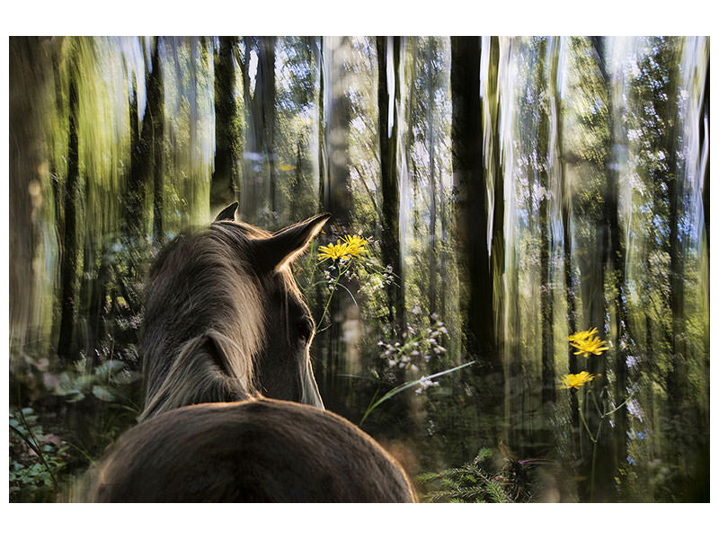 modern-3-piece-canvas-print-sound-are-forest