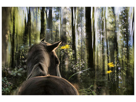 modern-4-piece-canvas-print-sound-are-forest