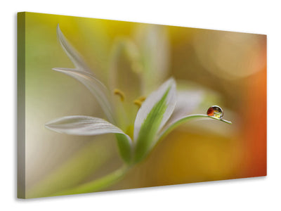 panoramic-3-piece-canvas-print-sound-of-colors