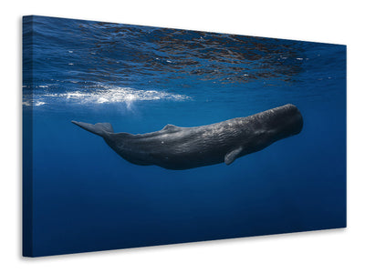 modern-4-piece-canvas-print-sperm-whale