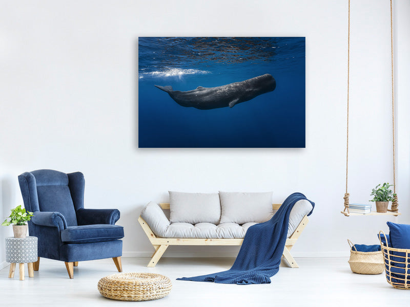 modern-4-piece-canvas-print-sperm-whale