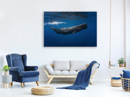 3-piece-canvas-print-sperm-whale