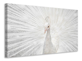 panoramic-canvas-print-splendid-whitie