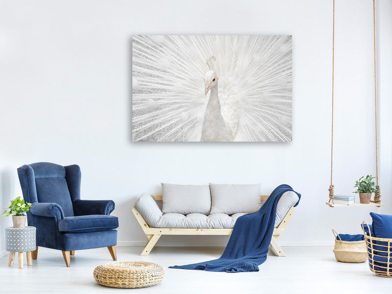 modern-3-piece-canvas-print-splendid-whitie