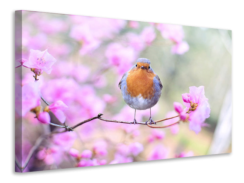 panoramic-canvas-print-spring-bird