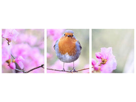 panoramic-canvas-print-spring-bird