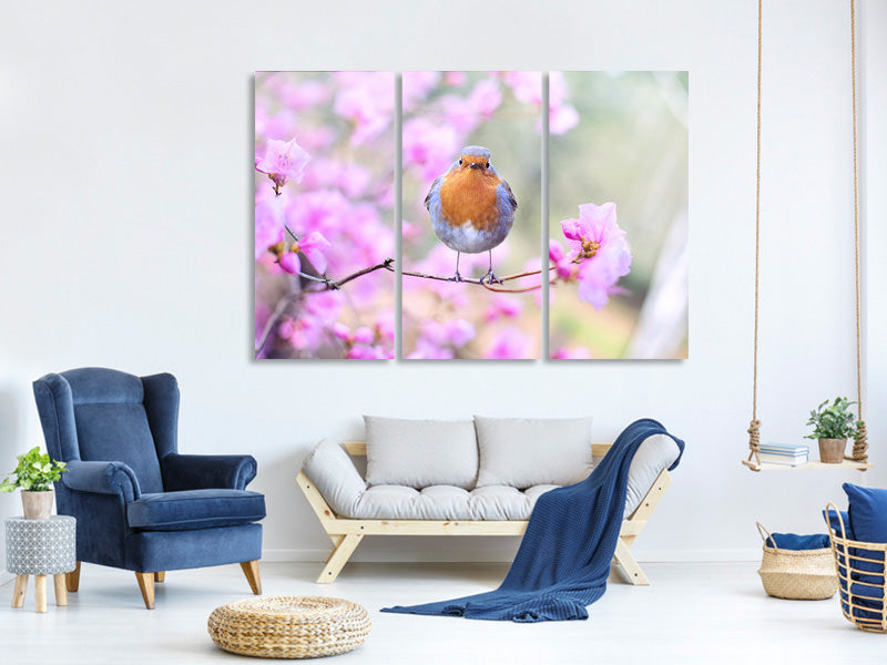 panoramic-canvas-print-spring-bird