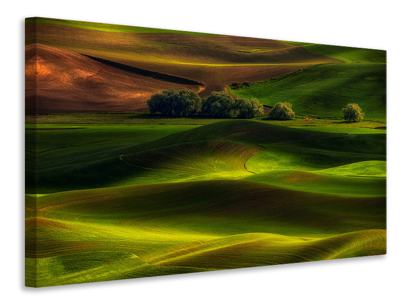 3-piece-canvas-print-spring-in-the-palouse
