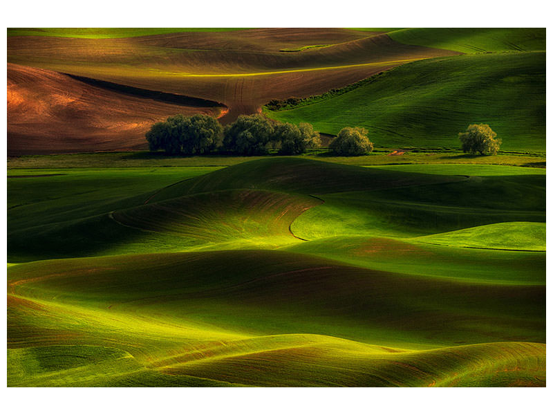 panoramic-3-piece-canvas-print-spring-in-the-palouse