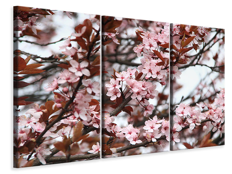 panoramic-canvas-print-spring-is-here