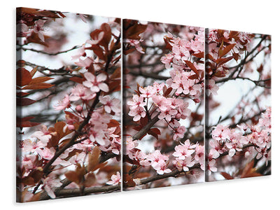 modern-3-piece-canvas-print-spring-is-here