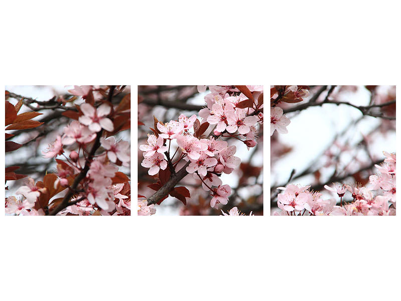 4-piece-canvas-print-spring-is-here