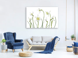 panoramic-3-piece-canvas-print-spring-snowdrops