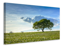 panoramic-canvas-print-spring-tree