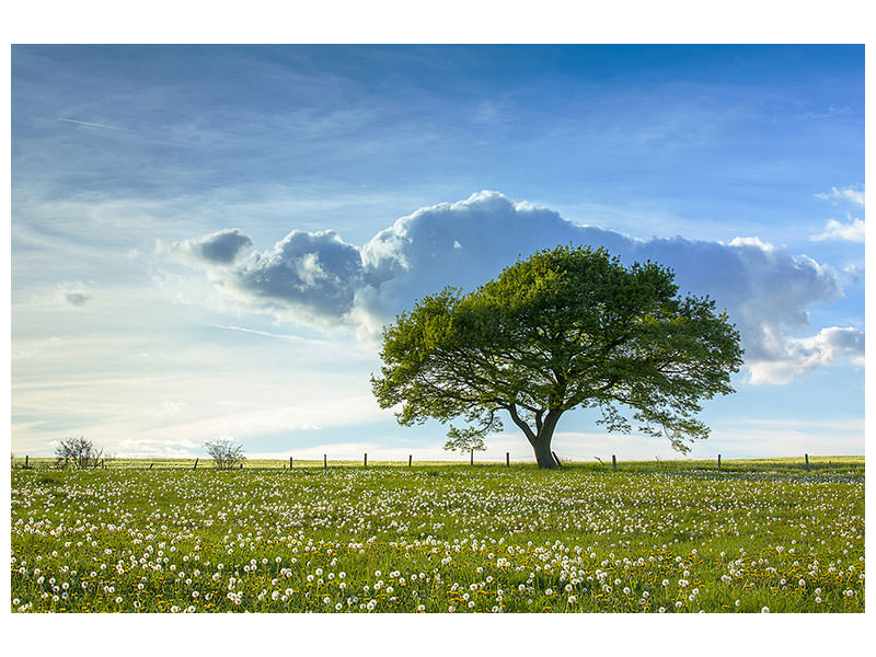 5-piece-canvas-print-spring-tree