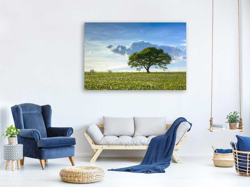 panoramic-canvas-print-spring-tree