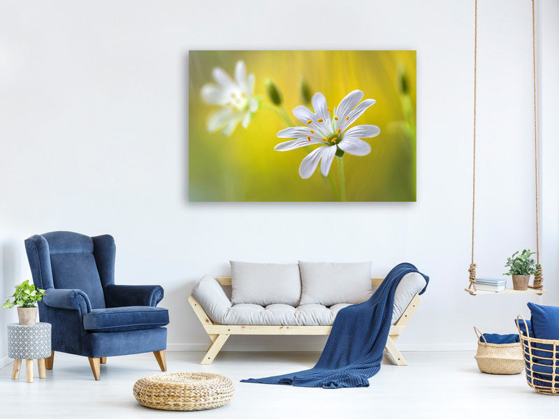 3-piece-canvas-print-stitchwort-ii