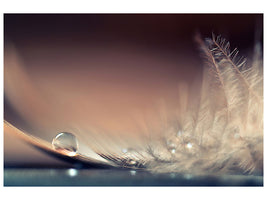 5-piece-canvas-print-stories-of-drops