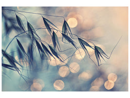 panoramic-canvas-print-straws