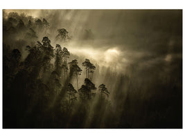 panoramic-canvas-print-streiflichter