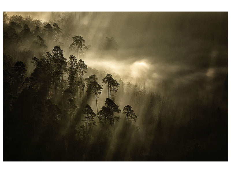 3-piece-canvas-print-streiflichter