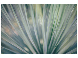 5-piece-canvas-print-strip-of-plant