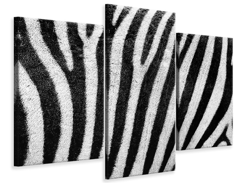 modern-4-piece-canvas-print-strip-of-the-zebra