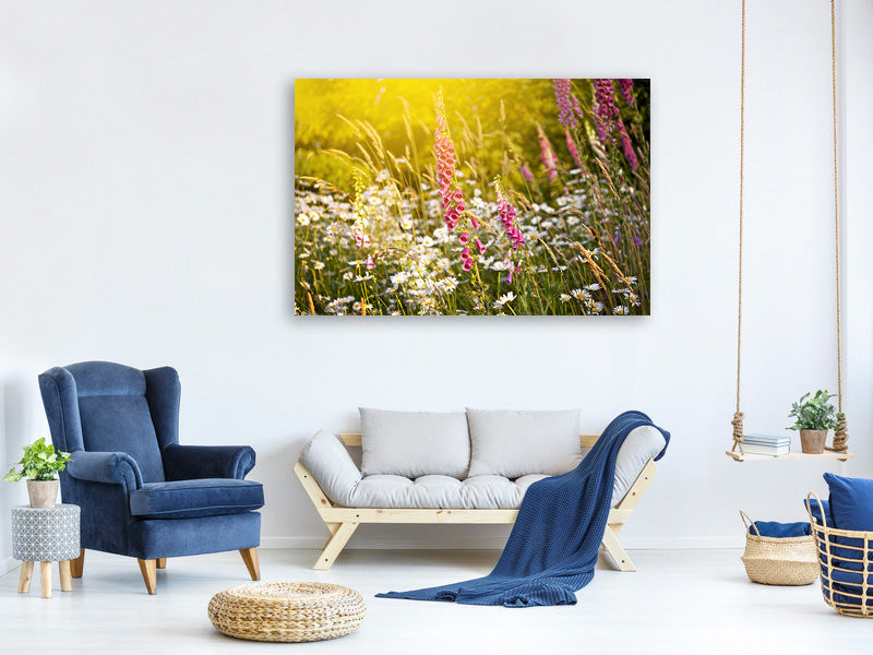 modern-4-piece-canvas-print-summer-flower-meadow