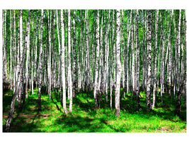 4-piece-canvas-print-summerly-birch-forest