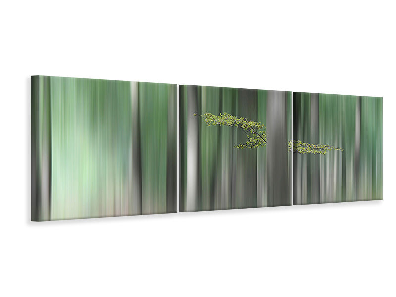 panoramic-canvas-print-summermorning
