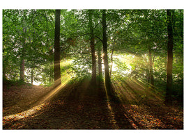 3-piece-canvas-print-sun-in-the-forest