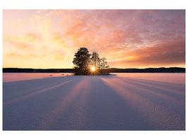 3-piece-canvas-print-sun-kissed