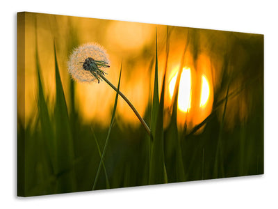 4-piece-canvas-print-sunbathing