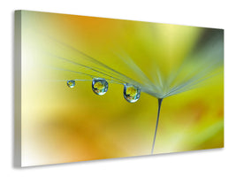 3-piece-canvas-print-sunbeam-iii