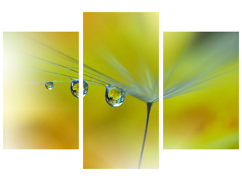 modern-4-piece-canvas-print-sunbeam-iii
