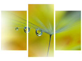 5-piece-canvas-print-sunbeam-iii